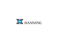 Электродвигатель Hanning O1A095-065P0025-030-001OF0-620