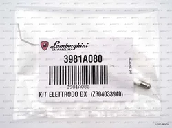 Электрод поджига Lamborghini 154 мм правый, 3981A080
