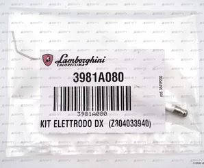 Электрод поджига Lamborghini 154 мм правый, 3981A080